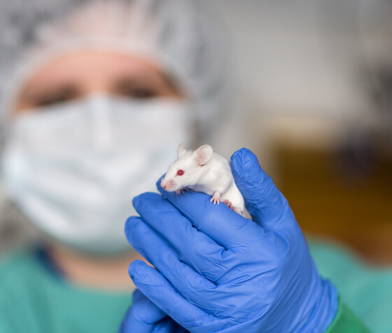 Mäuse, Menschen, Forschung: Einblicke in die tierexperimentelle Forschung, © Pressestelle UKEr