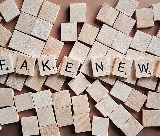 Verzerrtes Wissen: Fake News, Mythen und co. im Alltag und (naturwissenschaftlichen) Unterricht, © Pixabay