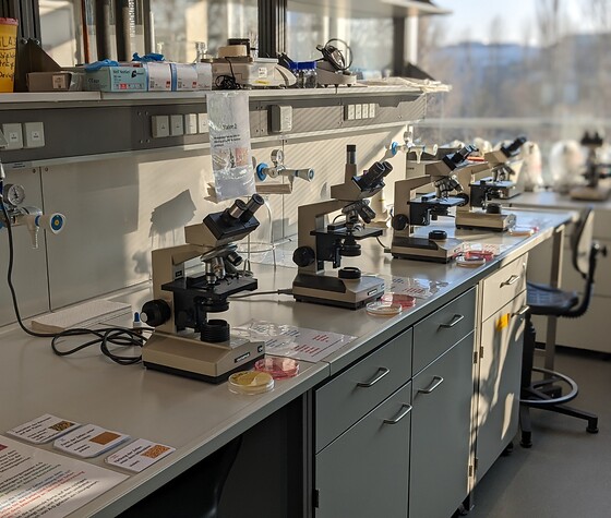 Detektivarbeit im Mikrobiologie-Labor, © Irmtraud Horst