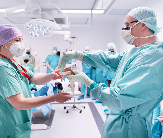 Implantationspräsentation & Arthroskopie Modell – was kommt in euren Körper, © 310Klinik GmbH