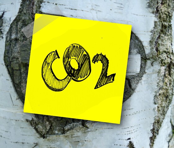 Gelebte Nachhaltigkeit - Wie kann ich meinen CO2-Fußabdruck reduzieren?, © (c) Pixabay