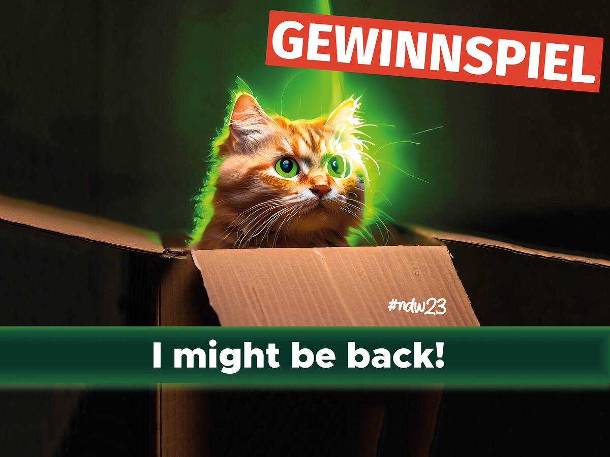 Eine rote Katze mit grünen Augen in einem Karton. Was hat das zu bedeuten?