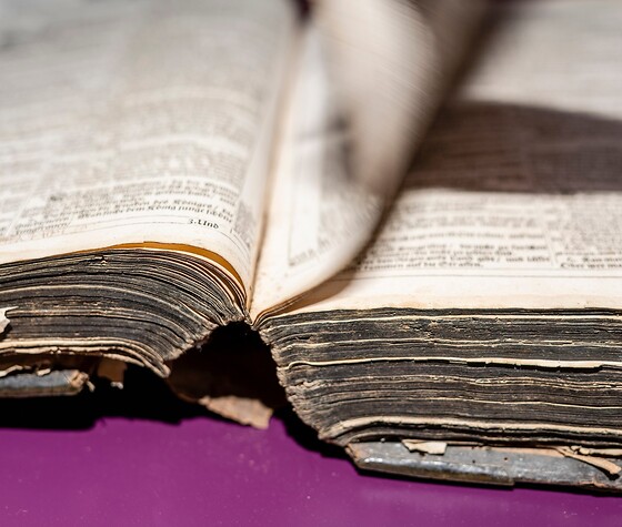 Sammeln und Forschen – eine historische Bibel untersuchen, © Uwe Niklas